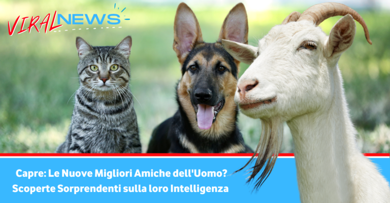 Capre Le Nuove Migliori Amiche dell'Uomo Scoperte Sorprendenti sulla loro Intelligenza e Affetto