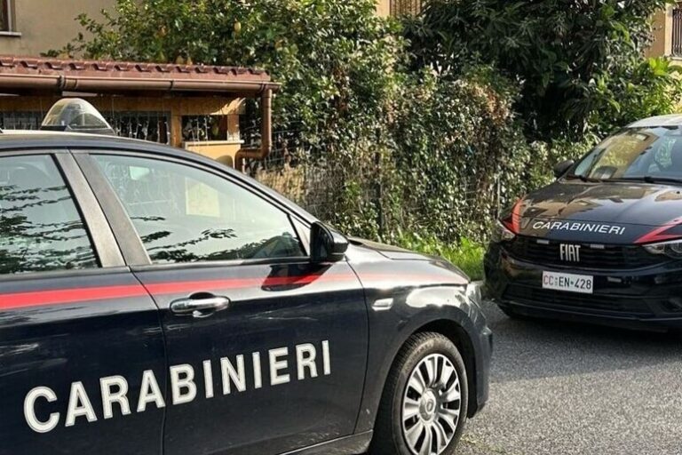 Tragedia a Venaria Reale: Una Vita Spezzata in un Atto di Violenza Domestica
