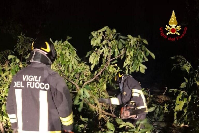 Tempesta Furiosa in Emilia: Oltre Cento Soccorsi nella Notte di Pioggia e Vento